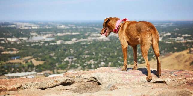 Safe hiking