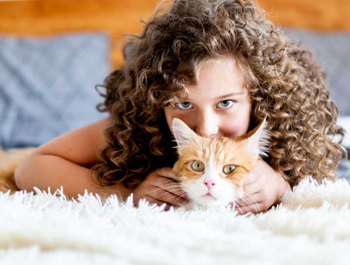 Diarrhea in Cats: How to Help Your Cat Feel Better