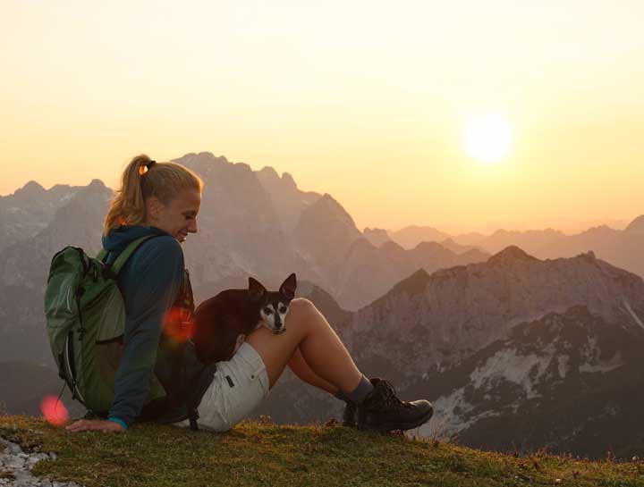 How to Get Your Dog Ready for Hiking in Colorado