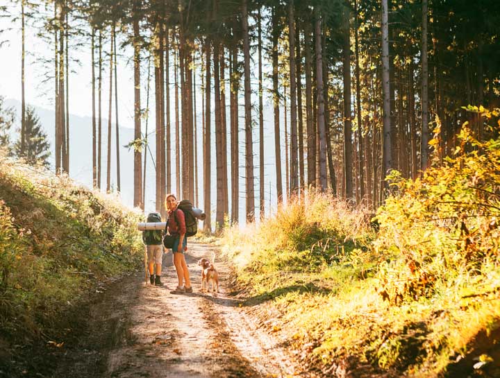 Hiking With Your Dog: How to Keep Your Dog Safe on Colorado Trails