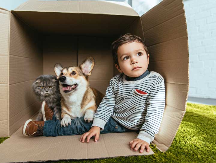 Moving With Dogs and Cats (2 of 3): Tips for Moving Day