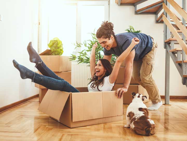 Moving With Dogs or Cats (1 of 3): Planning Tips