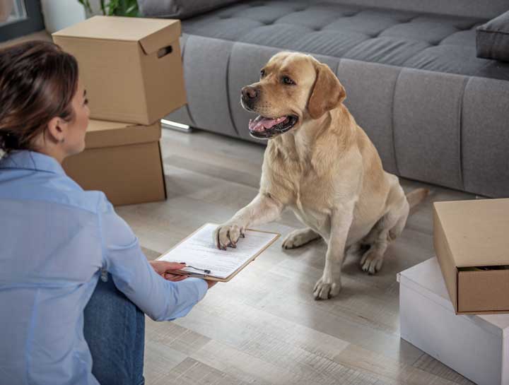 Moving With Dogs and Cats (3 of 3): Preparing and Settling Into Your New Home