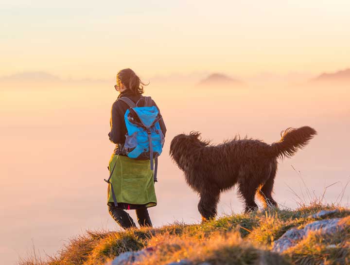 What to Pack for Your Dog for a Hike in Colorado